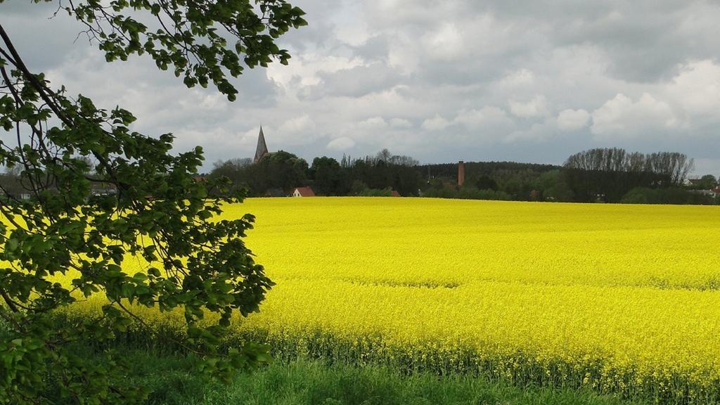 Fewo Ruegen Boettger Poseritz Exteriér fotografie