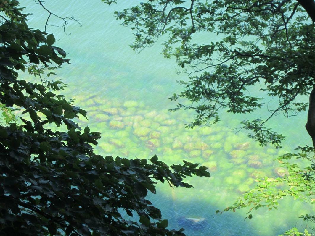 Fewo Ruegen Boettger Poseritz Exteriér fotografie